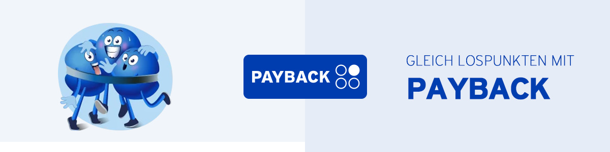 payback 4